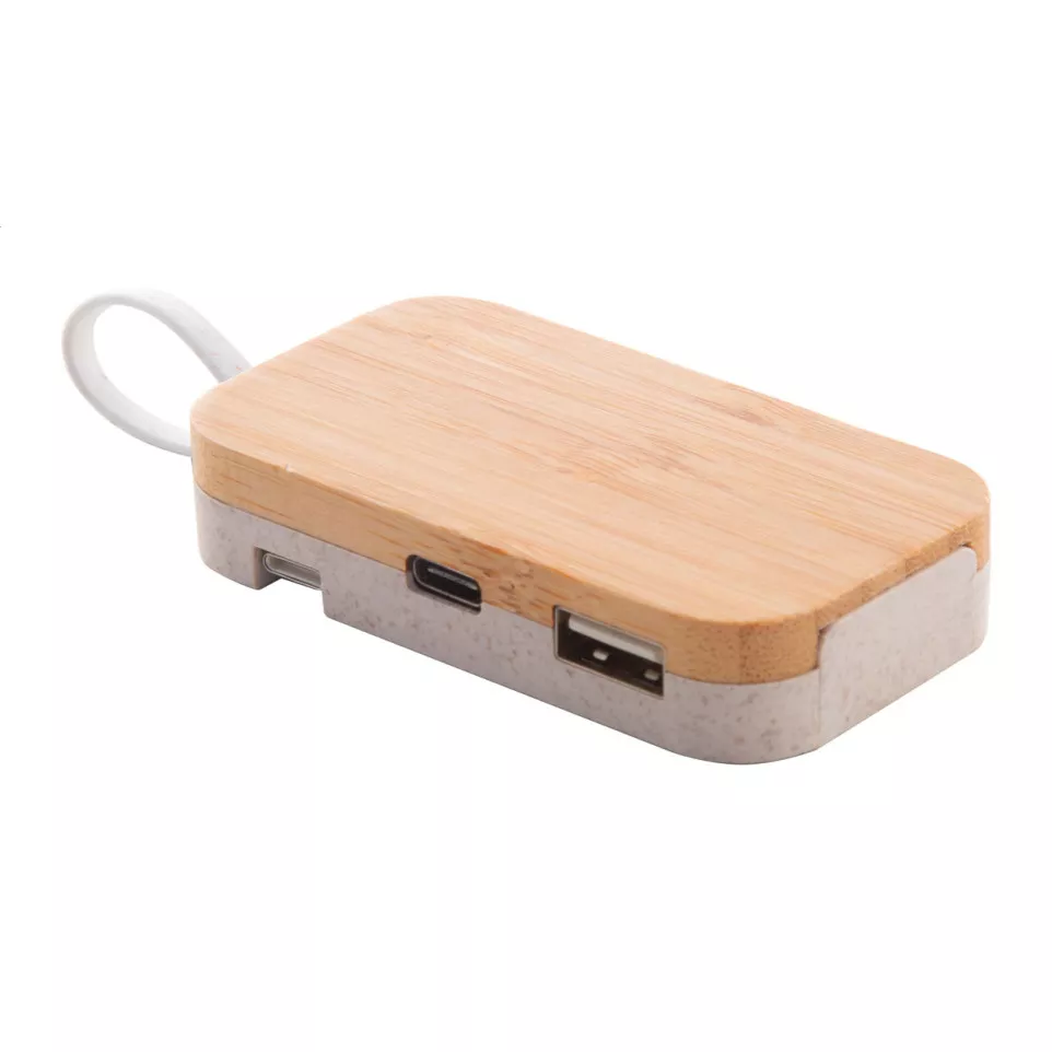 Holbaru natuurlijk  USB hub 