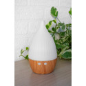 Nubes natural  humidifier 