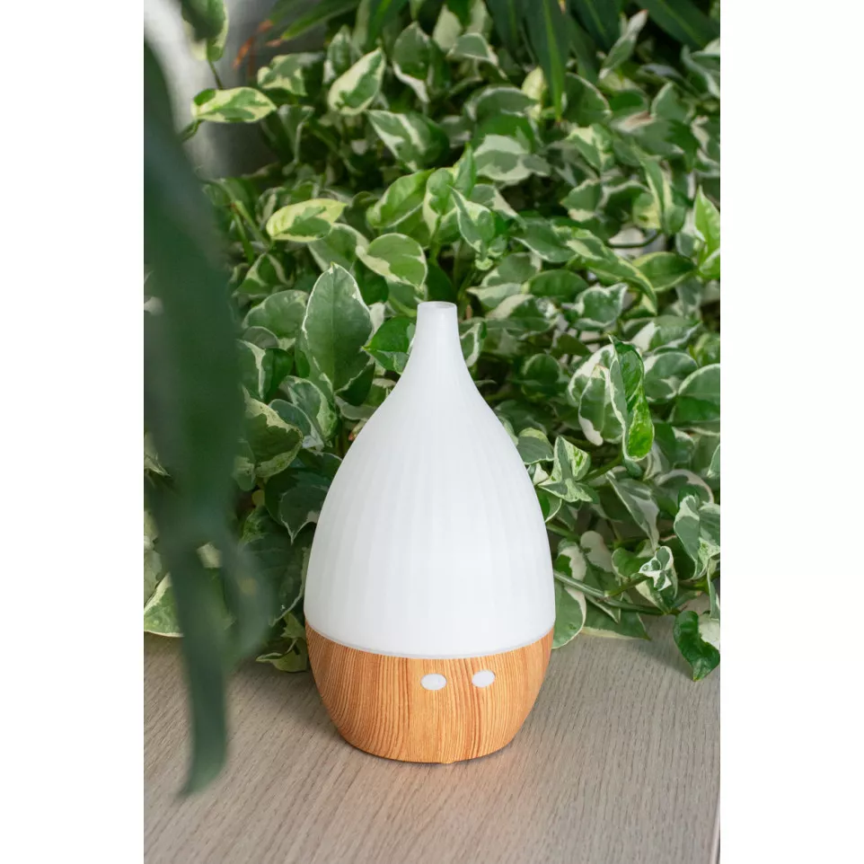 Nubes natural  humidifier 