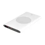 RaluWir argenté  Power Bank 