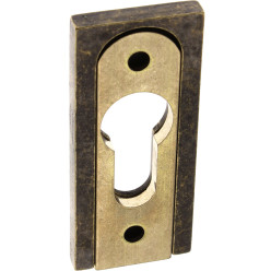 Antique Brass PZ Security...