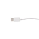 Celody wit  USB-C oordopjes 