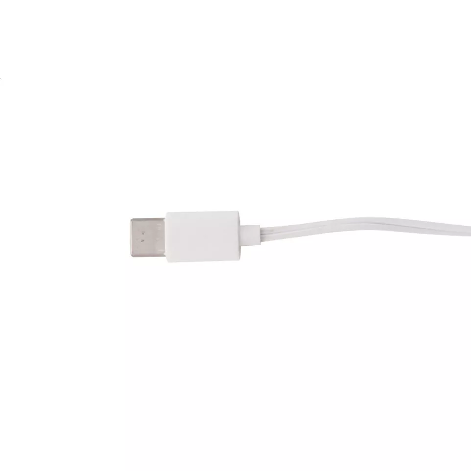 Celody blanc  USB-C Écouteurs 