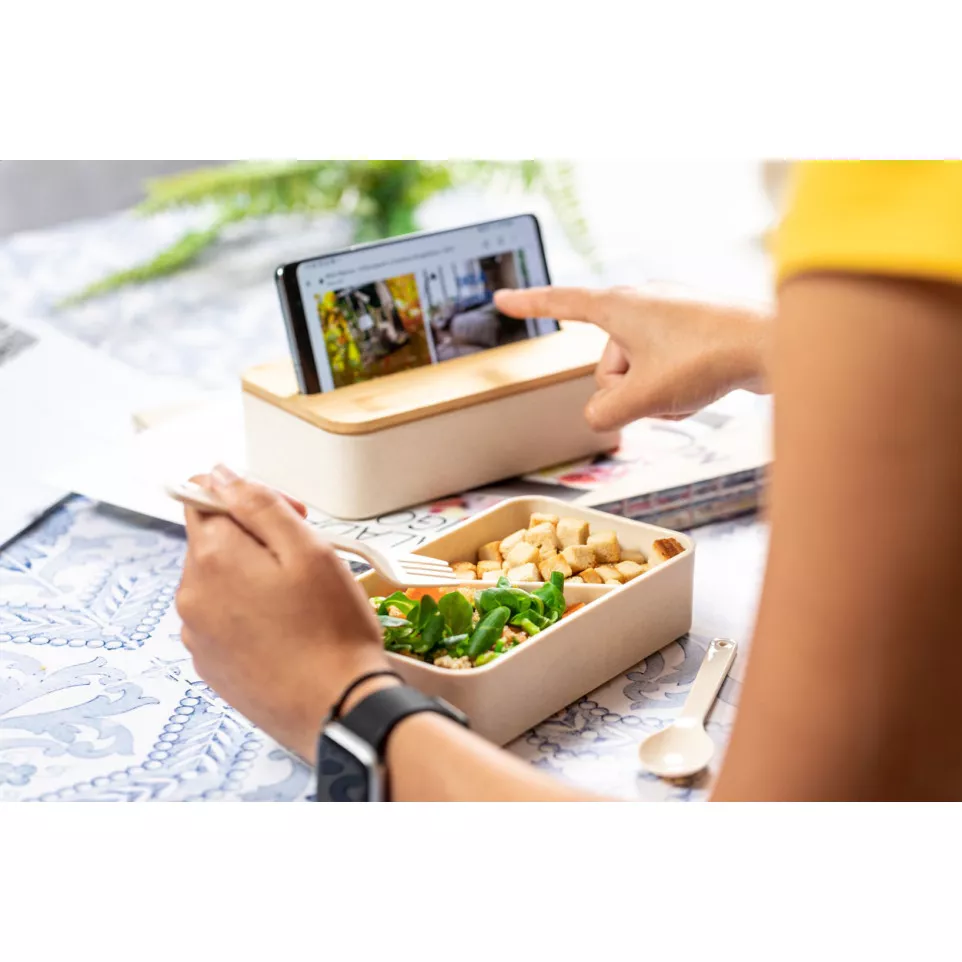 Laksa natural  lunch box 