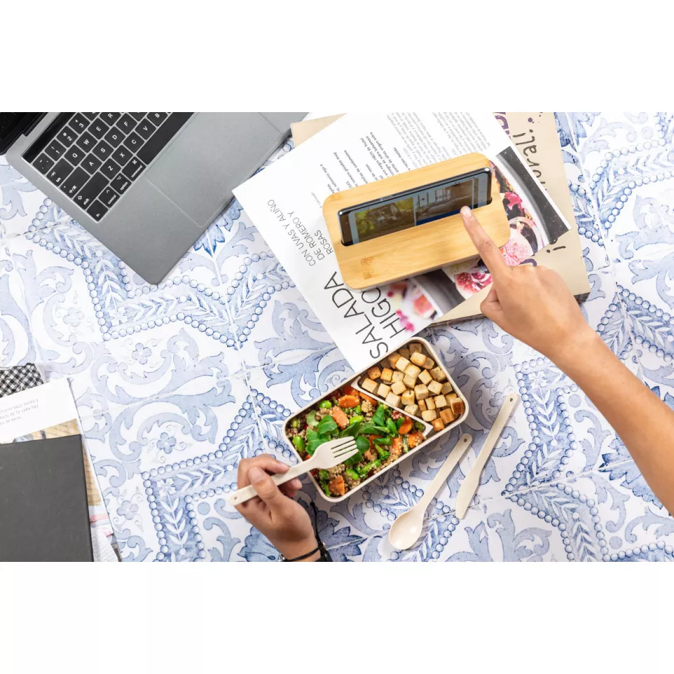 Laksa natural  lunch box 