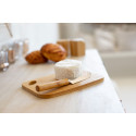 Taleggio natural  cheese set 