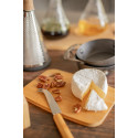 Taleggio natural  cheese set 