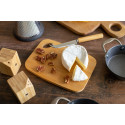 Taleggio natural  cheese set 