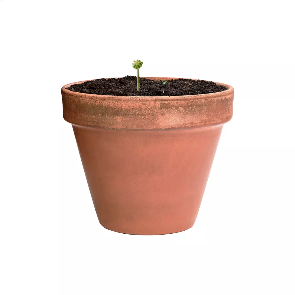 Flobba natural  seed ball 