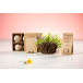 Flobba natural  seed ball 