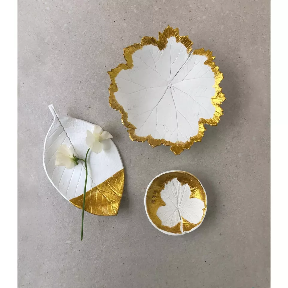 DARWI grote modelleerset-/ St.