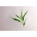 Ntbk spir. Bamboo 25-0g A4 21x29,7cm 20bl/ St.