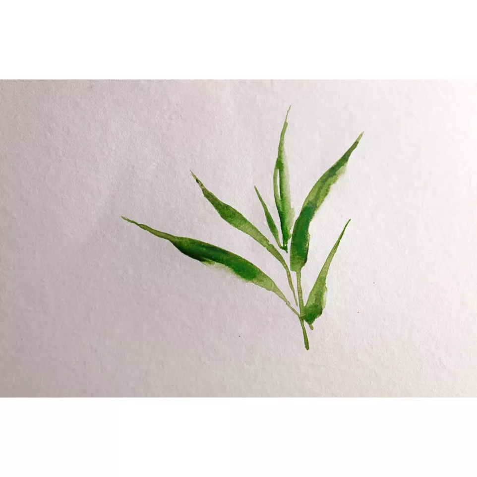 Bamboo Glued Pad 36x48cm 250g 20...