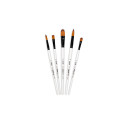 DFY Set of 5 medium brushes-/ Pc.