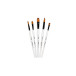 Darwi For You set de 5 pinceaux moyens/ Pce