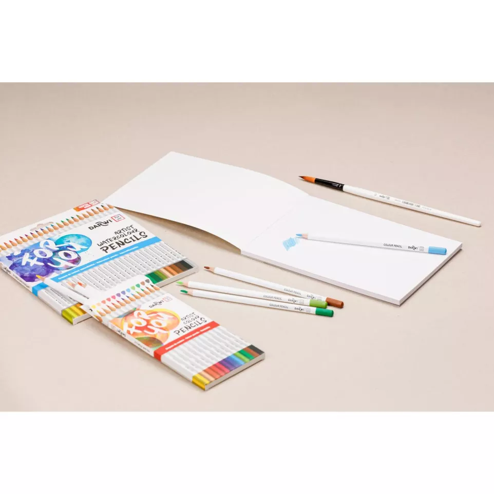 DFY 12 crayons couleurs Beaux-Arts-/ Pce