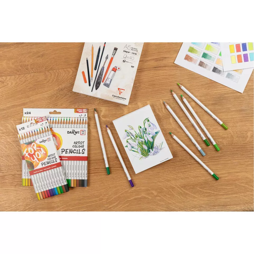 DFY 12 Fine Art coloured pencils-/ Pc.