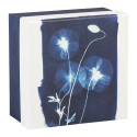 Cyanotype Square Boxes Set of 3/ Pc.
