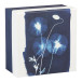 Cyanotype Square Boxes Set of 3/ Pc.