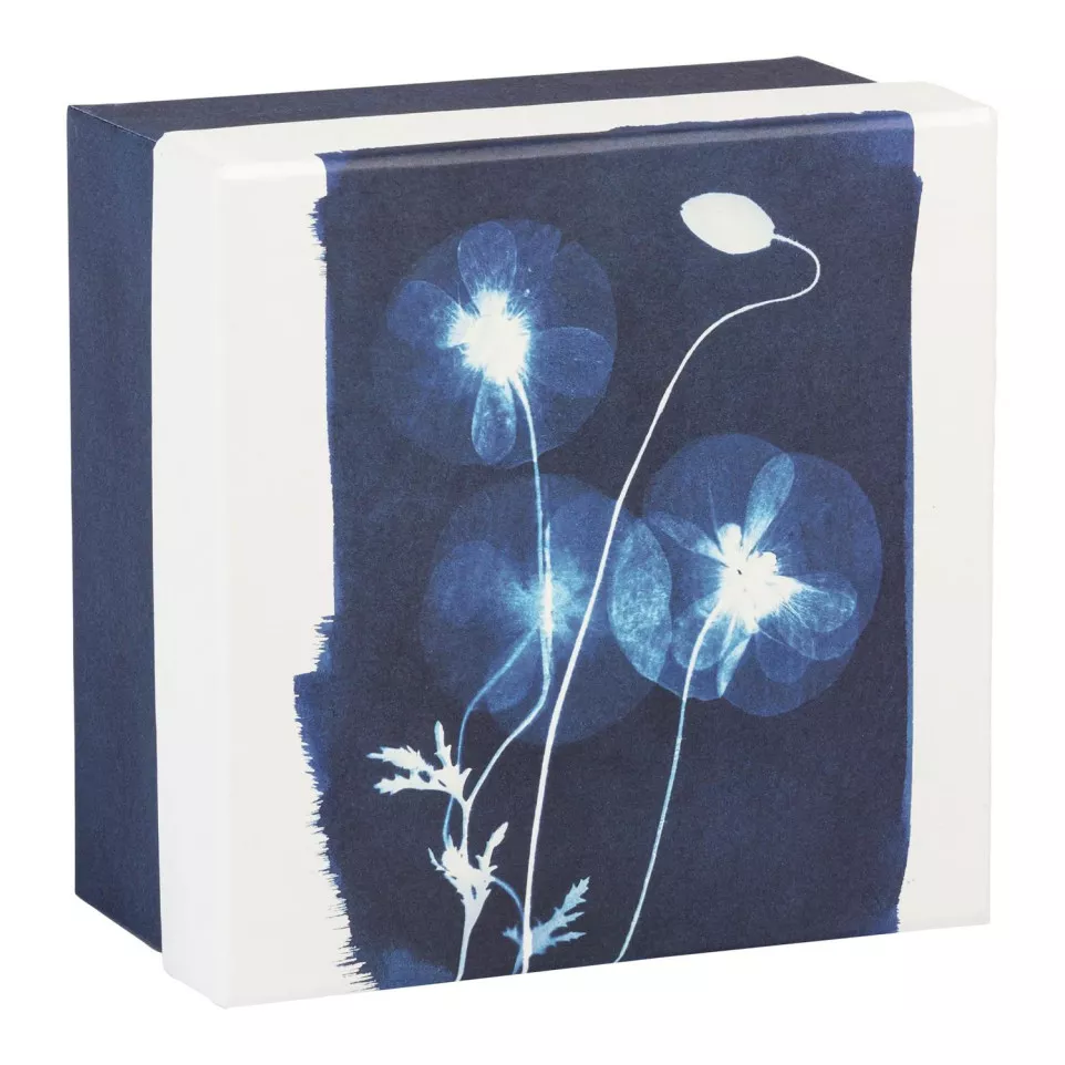 Cyanotype Square Boxes Set of 3/ Pc.