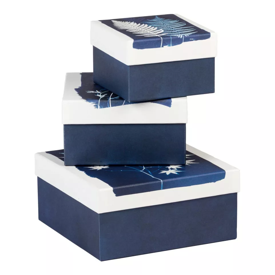 Cyanotype Square Boxes Set of 3/ Pc.