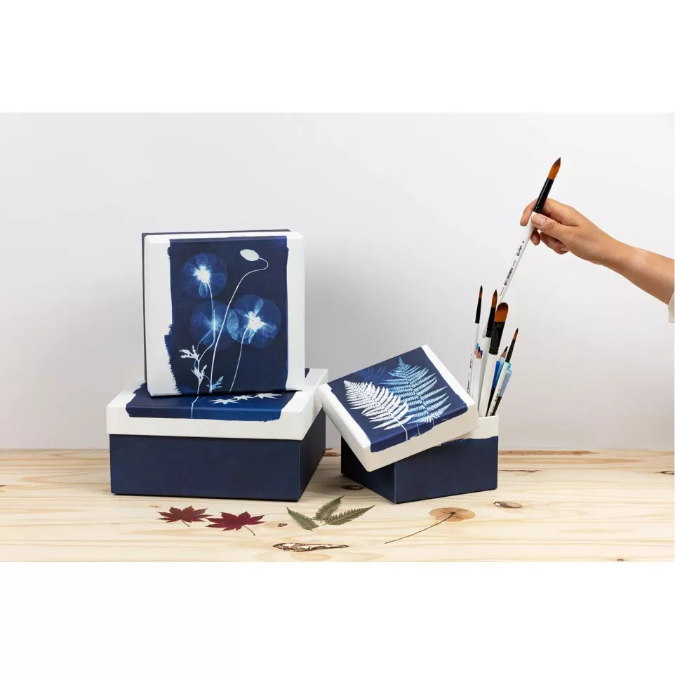 Cyanotype Square Boxes Set of 3/ Pc.