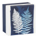 Cyanotype Square Boxes Set of 3/ Pc.