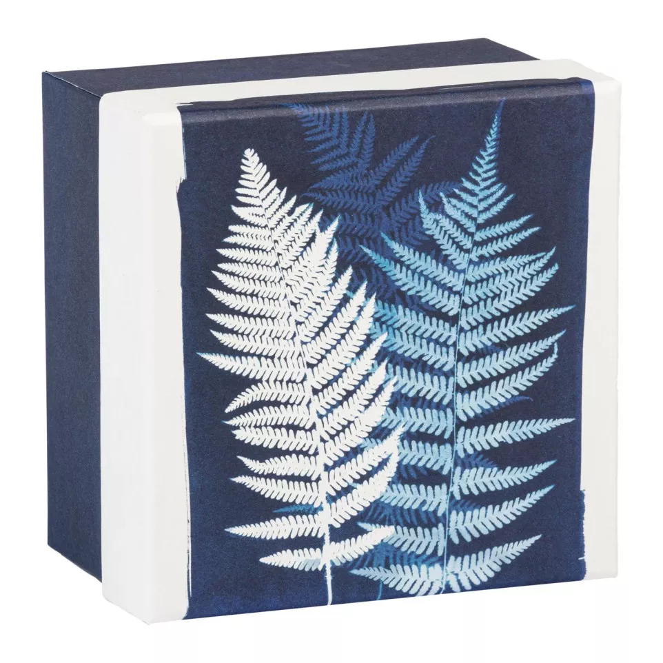 Cyanotype Square Boxes Set of 3/ Pc.