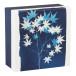 Cyanotype Square Boxes Set of 3/ Pc.