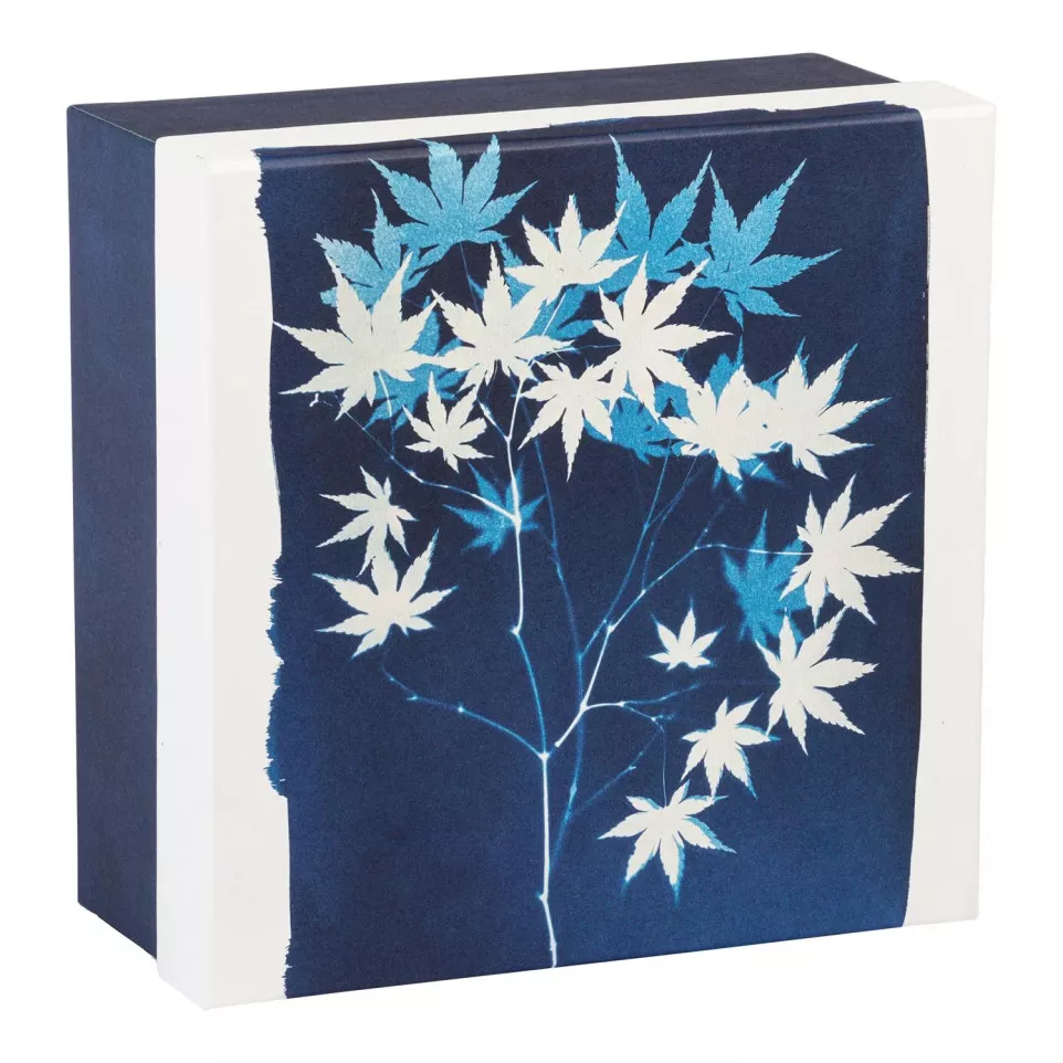 Cyanotype Square Boxes Set of 3/ Pc.