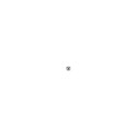 PASTILLE LAITON SUR BROCHE 24mm/ Pce