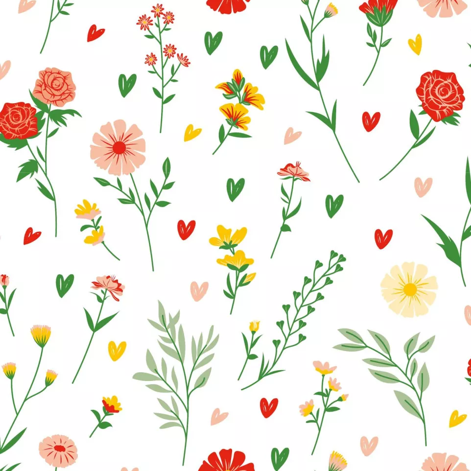 Alliance 60g, rl 50x0,70m Amore-/ St.