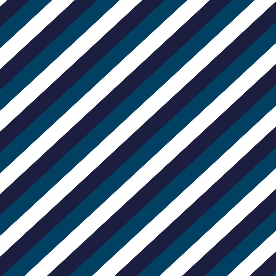 Alliance 60g, rl 50x0,70m Blue Line/ Pc.