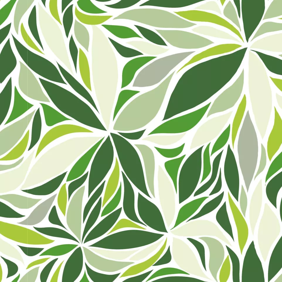 Excellia 80g, rl 50x0,70m Blaadjes-/ St.