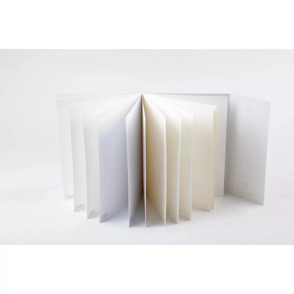 Aqua Essentials 12 Assorted...