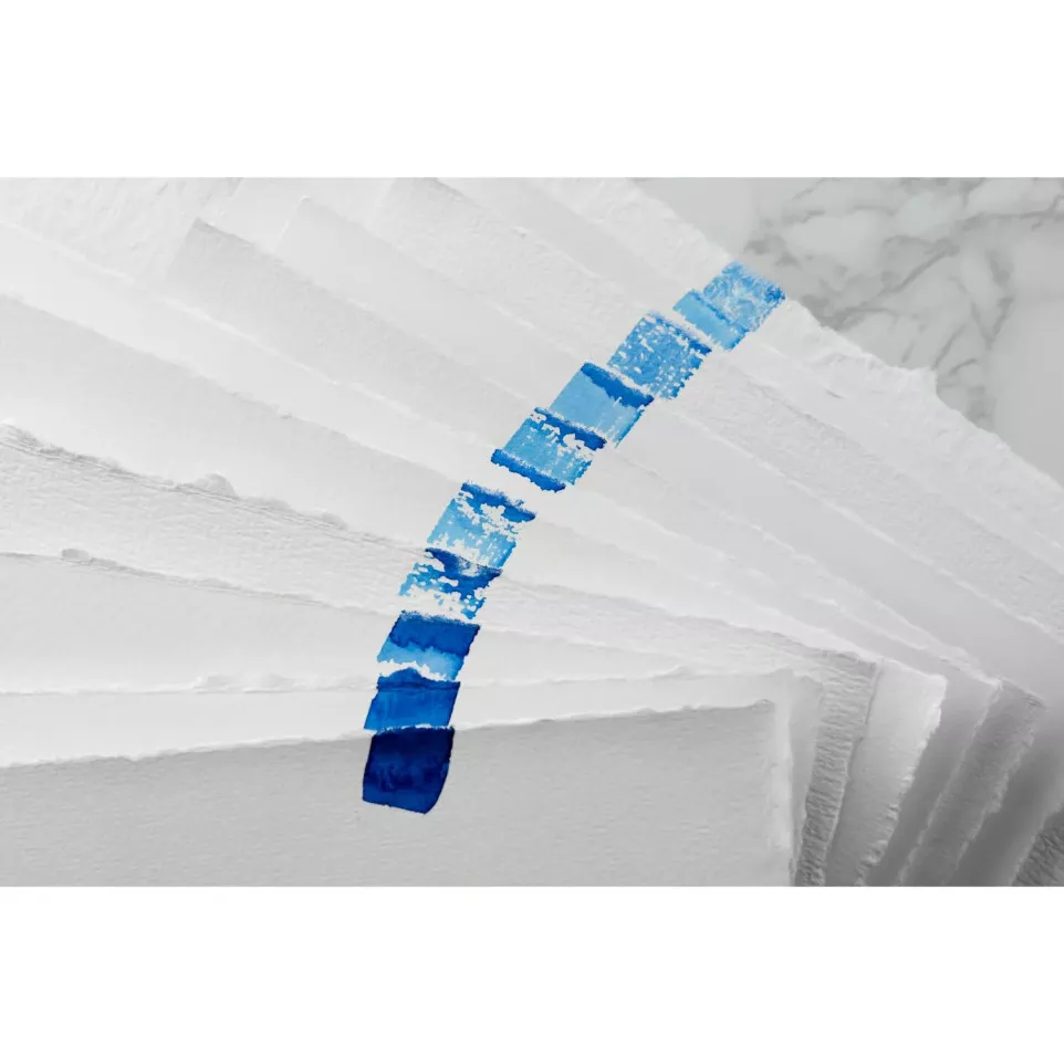 Aqua Essentials 12 Assorted...