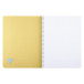 Linicolor Essence sc-hrift A4 50bl 5x5 as/ St.