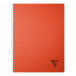 Linicolor Essence sc-hrift A4 50bl 5x5 as/ St.