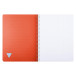Cahier reliure intégrale Linicolor ESSENCE A4 100 pages petits carreaux couverture plastique polypropyène rainuré/ Pce
