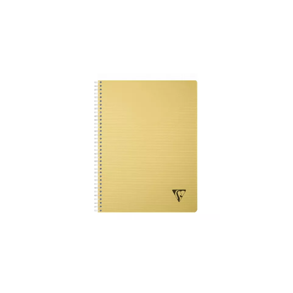 Cahier reliure intégrale Linicolor...