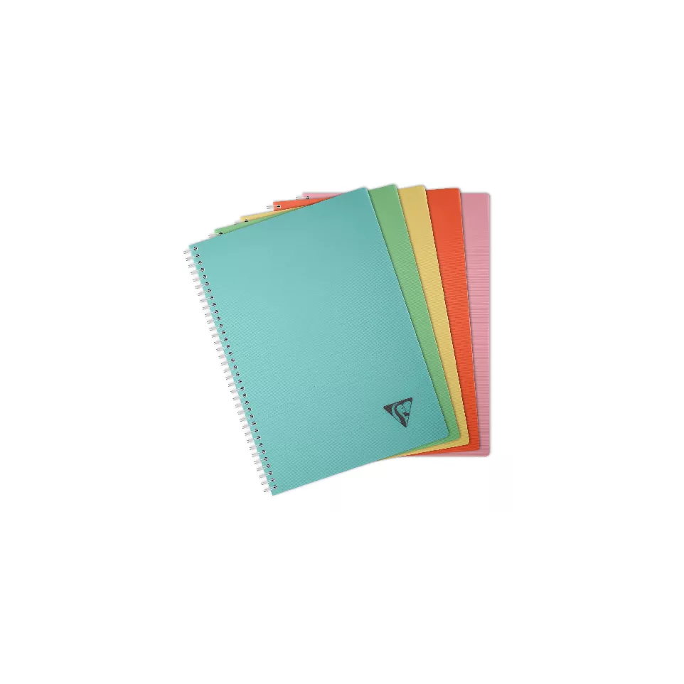 Cahier reliure intégrale Linicolor...