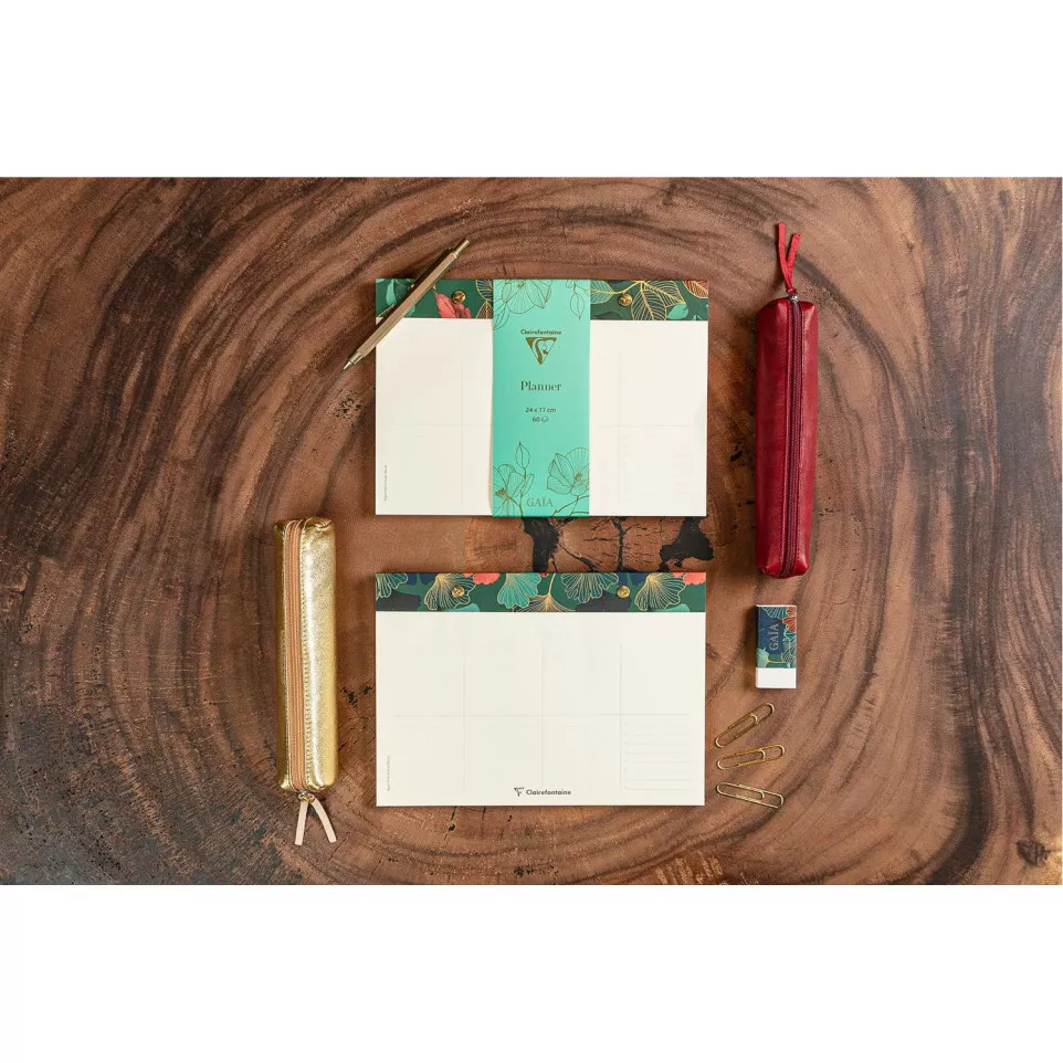 Gaïa bleu Planner 24x17cm/ Pc.