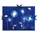 Cyanotype Tekenmap 28x38cm-dessin 28 x 38 cm/ St.