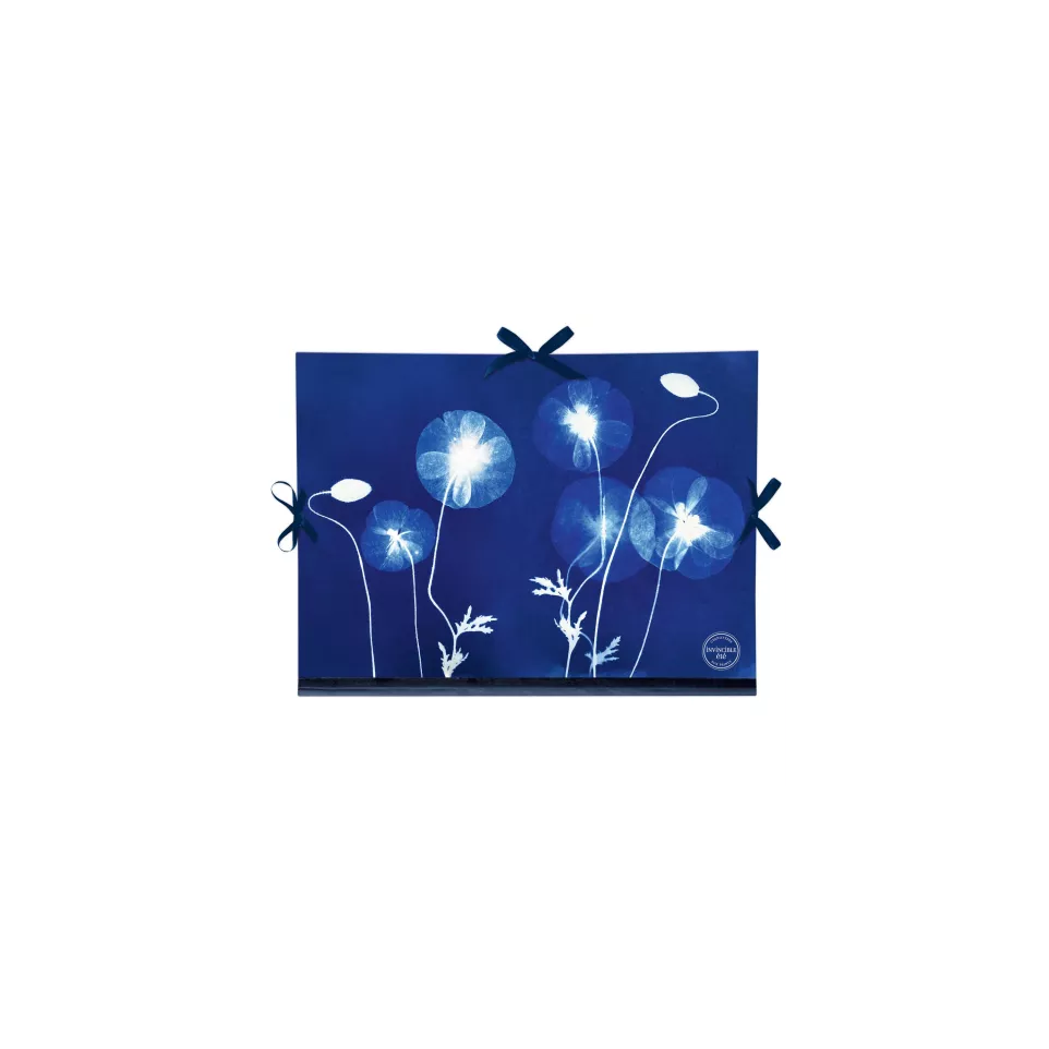 Cyanotype Tekenmap 28x38cm-dessin 28...