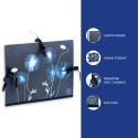 Cyanotype Tekenmap 28x38cm-dessin 28 x 38 cm/ St.
