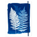Cyanotype, Chemise à- élastique 24x32 cm/ Pce