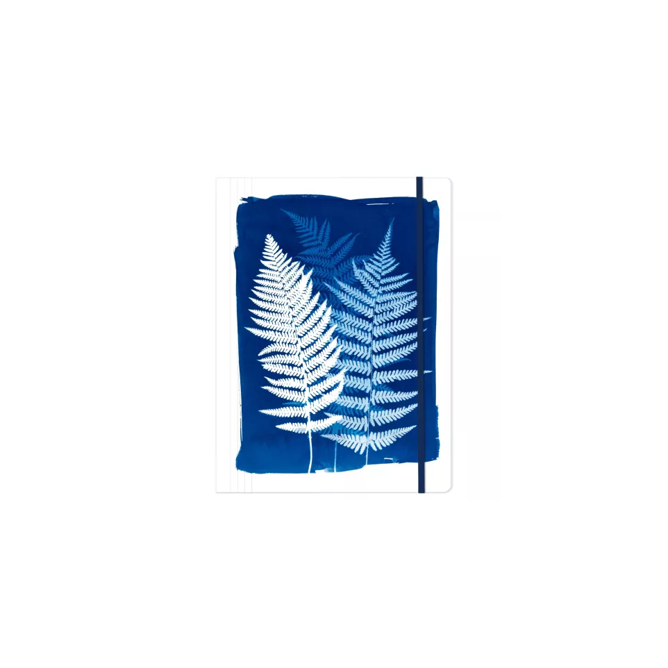 Cyanotype, Chemise à- élastique 24x32...