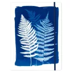 Cyanotype, Chemise à- élastique 24x32 cm/ Pce