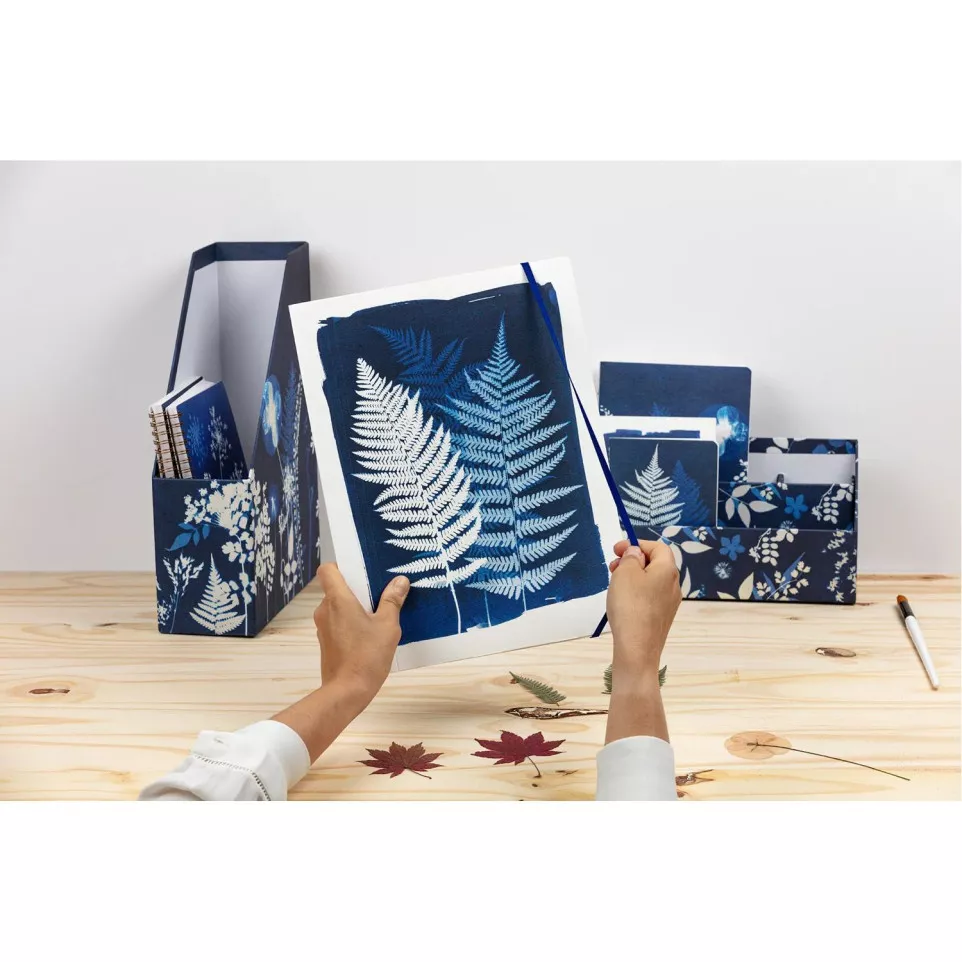 Cyanotype, Chemise à- élastique 24x32...