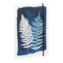 Cyanotype, Chemise à- élastique 24x32 cm/ Pce